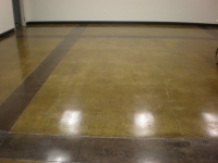 Concrete Floor Polishing/Staining